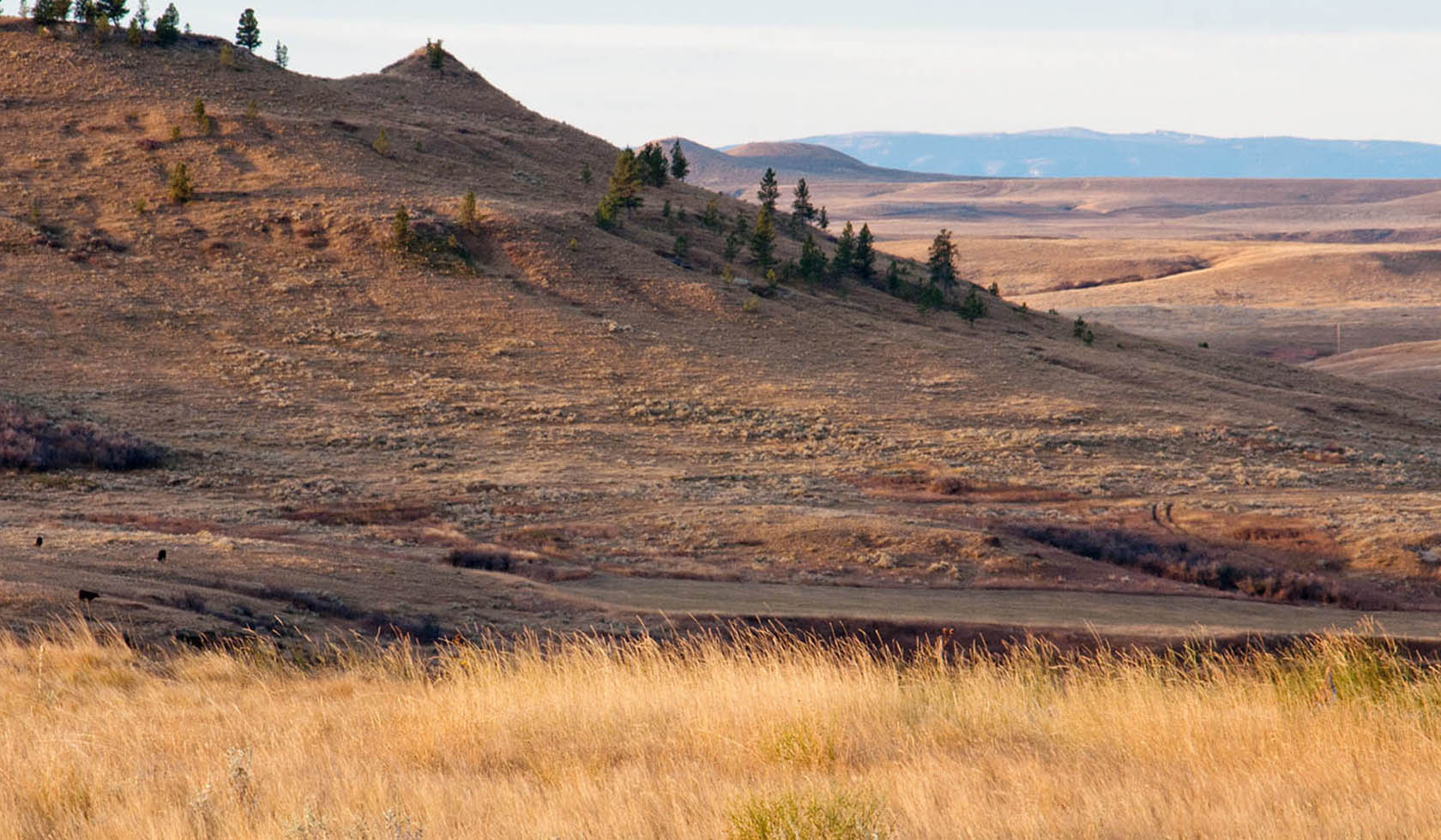 Rosebud Battlefield State Park