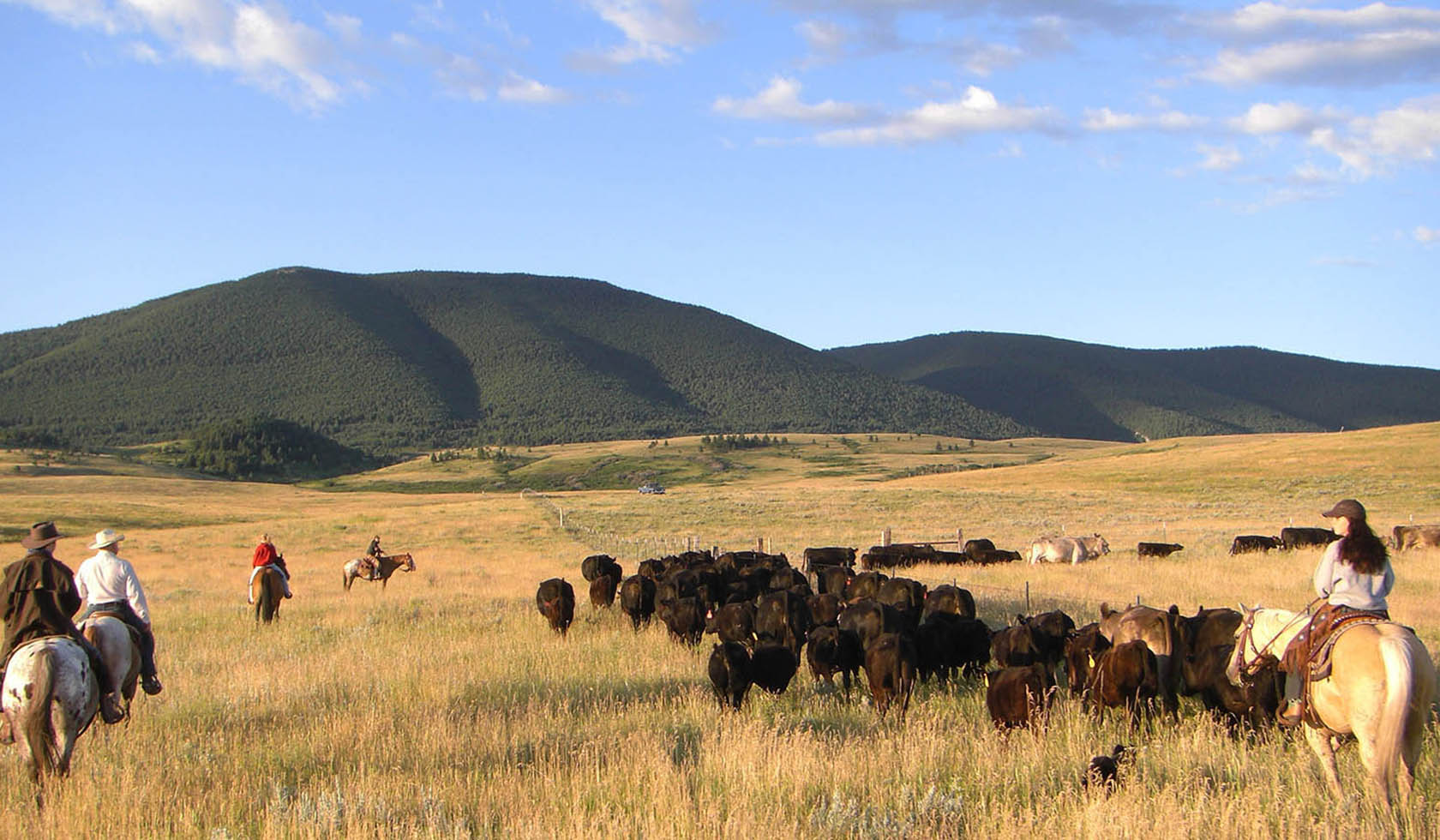 Ranches Visit Southeast Montana