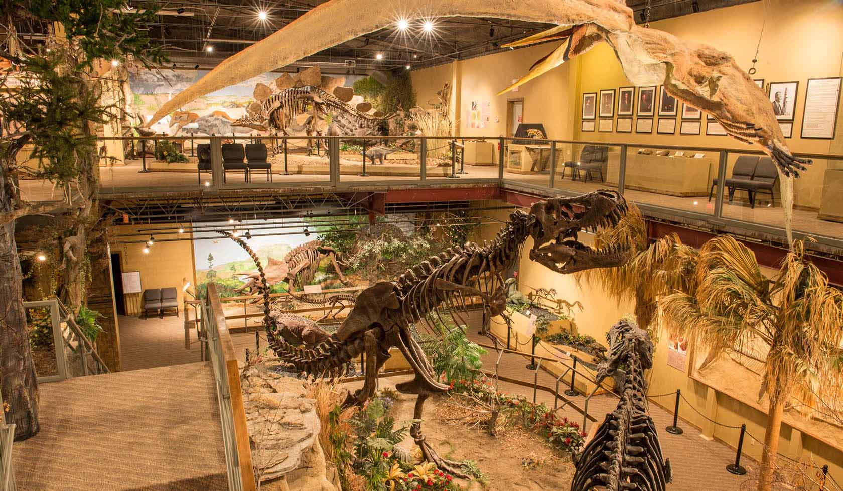 top dinosaur museums