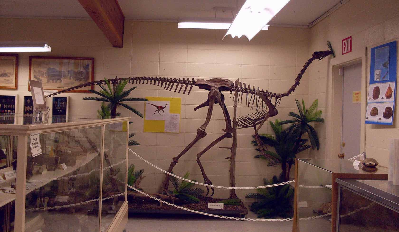 Dinosaurs Visit Southeast Montana